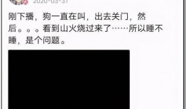 娱乐圈吃瓜大集合txt,揭秘“吃瓜大集合”txt背后的精彩故事