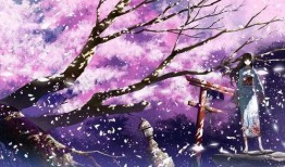 樱花漫画图,一场春日里的浪漫邂逅